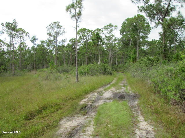 Xxxx Magnolia Road, Grant Valkaria, FL 32950