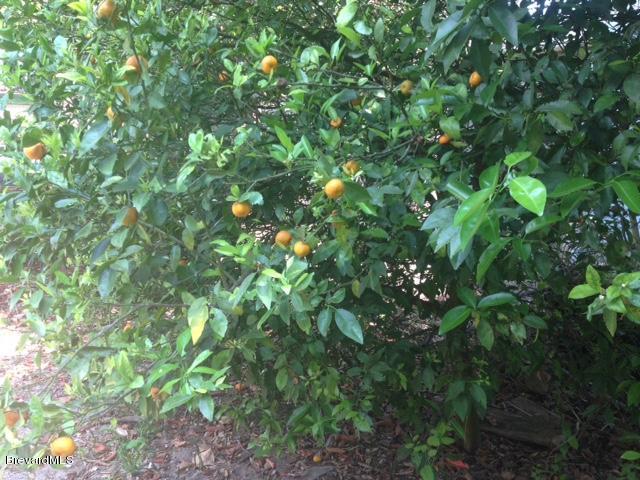 21 Magruder Avenue, Rockledge, FL 32955