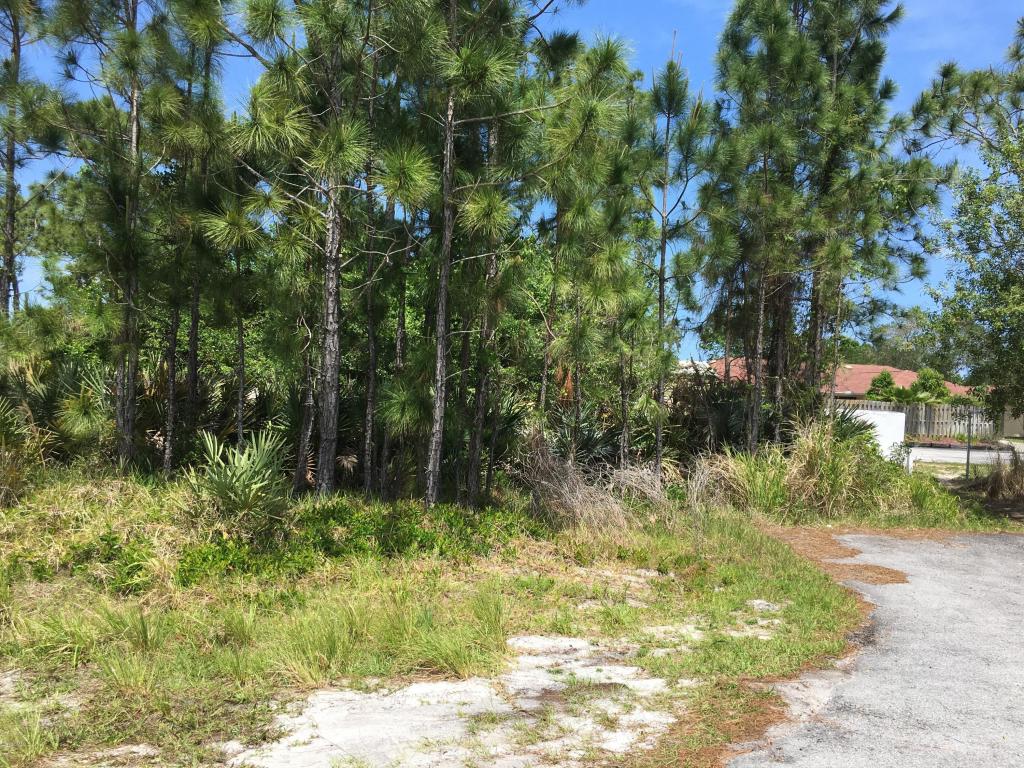 7660 134th Street, Sebastian, FL 32958