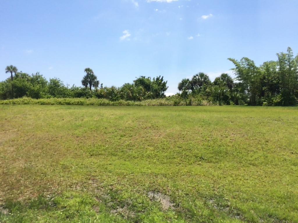 741 Holden Avenue, Sebastian, FL 32958
