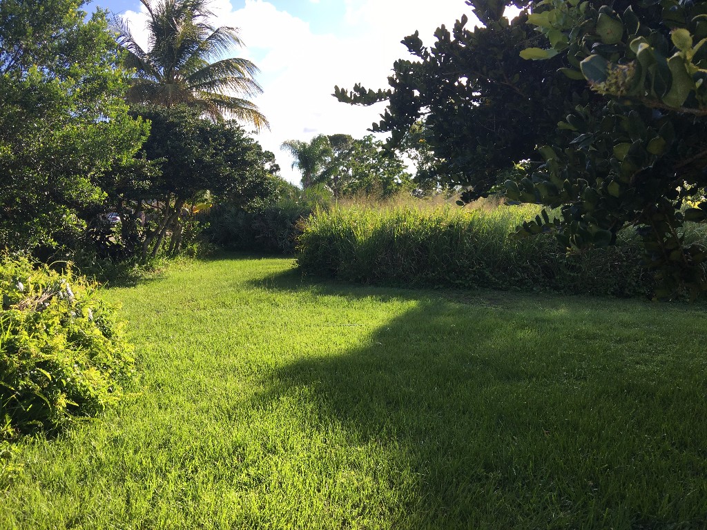 156 11th Court, Vero Beach, FL 32962