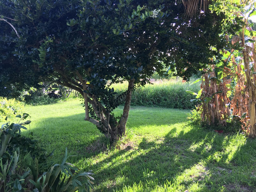156 11th Court, Vero Beach, FL 32962