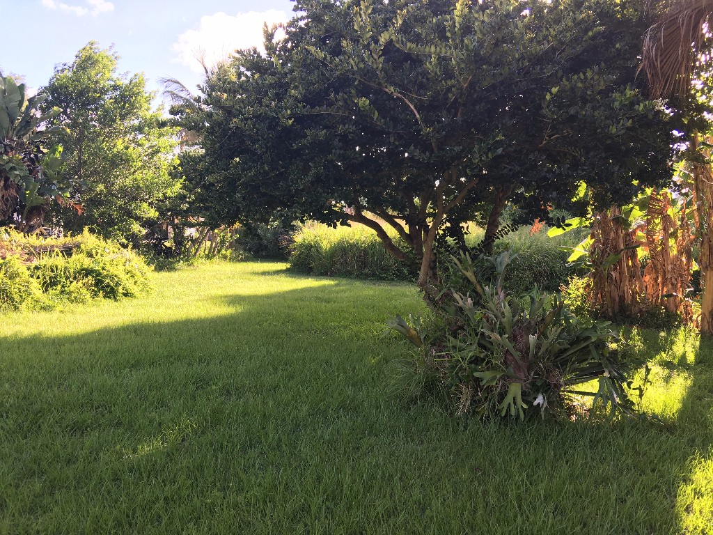 156 11th Court, Vero Beach, FL 32962