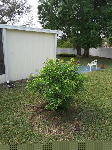 Village Green7000 20th street #976Vero Beach, FL 32966