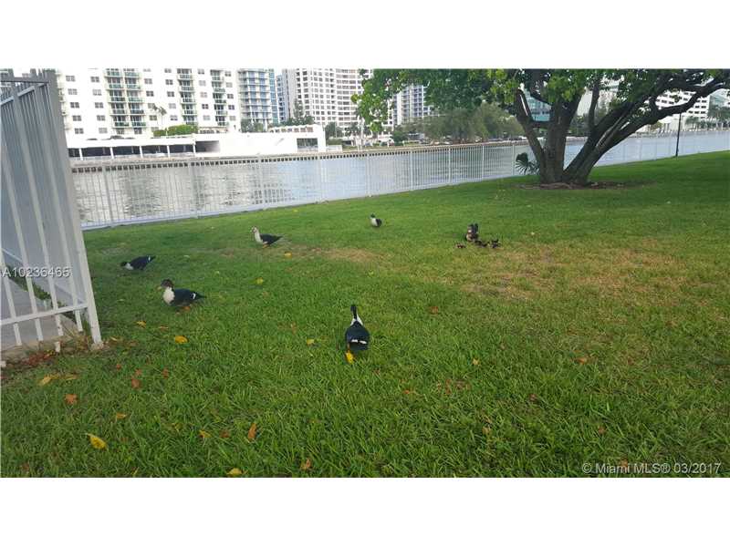 800Parkview Dr, Hallandale, FL 33009