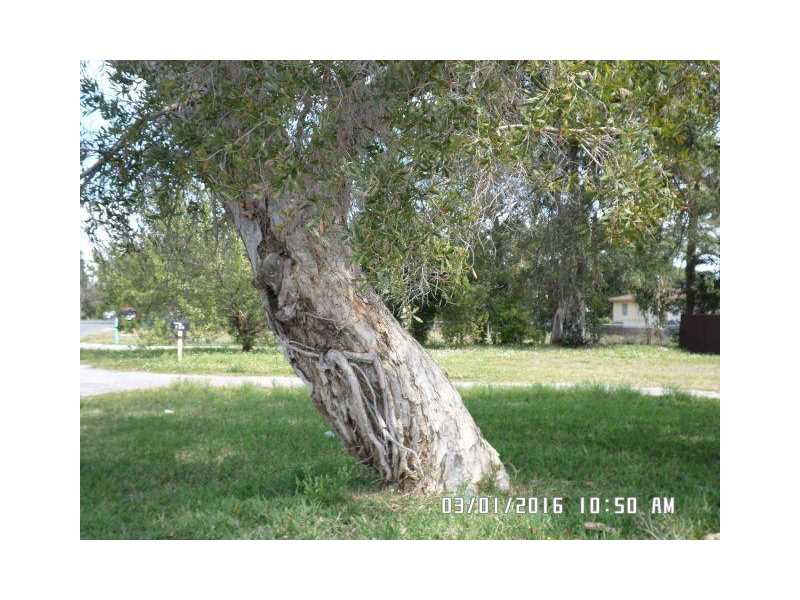 785 Southwest 7th Ave, Hallandale, FL 33009