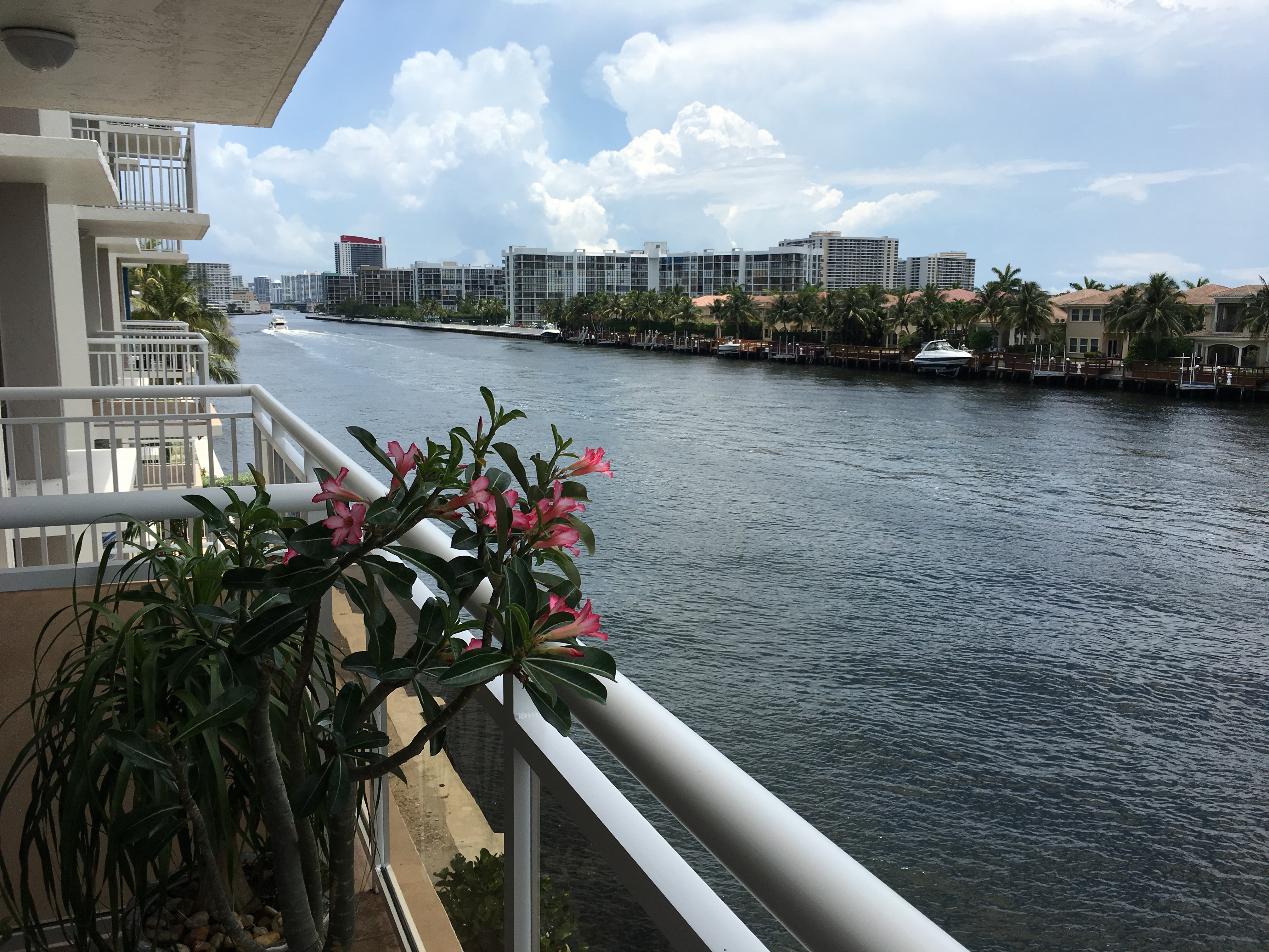 1600 S Ocean Dr, Hollywood, FL 33019