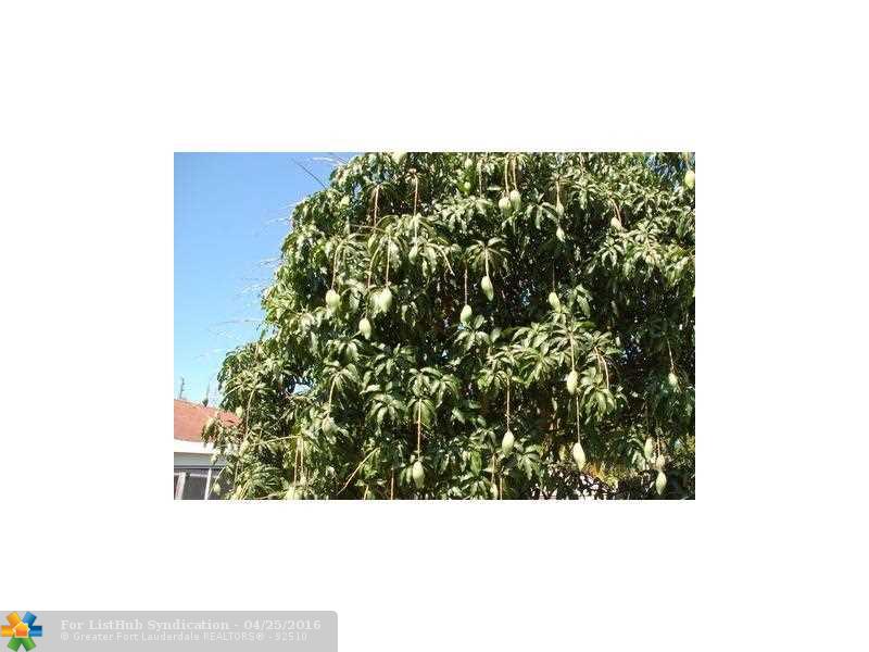 1635 Hayes St, Hollywood, FL 33020
