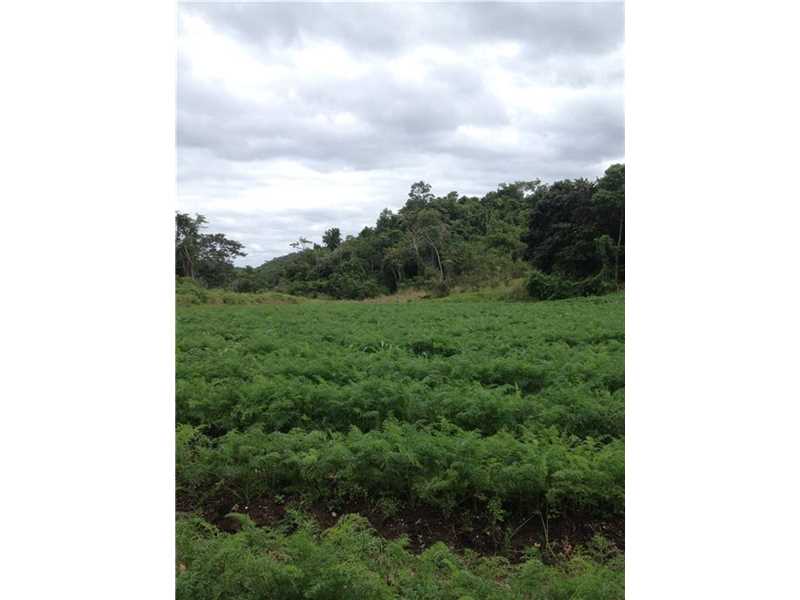 115 Acres in Mountai, Other City - Keys/Islands/Caribbean, FL 33025