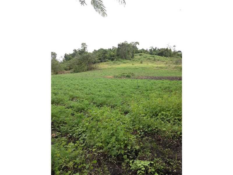 115 Acres in Mountai, Other City - Keys/Islands/Caribbean, FL 33025