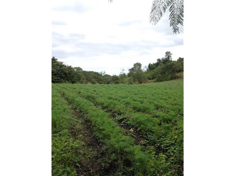 115 Acres in Mountai, Other City - Keys/Islands/Caribbean, FL 33025