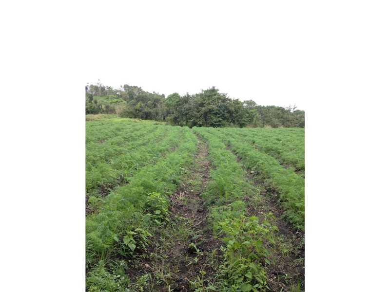 115 Acres in Mountai, Other City - Keys/Islands/Caribbean, FL 33025