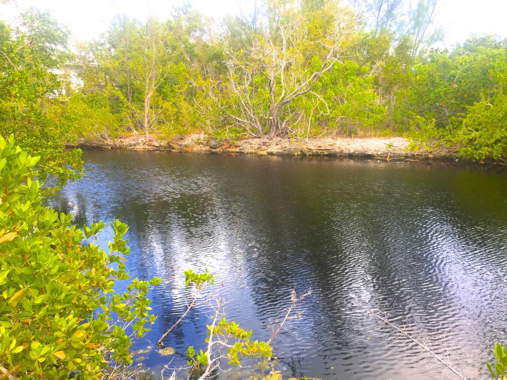 Mariposa Road, Ramrod Key, FL 33042