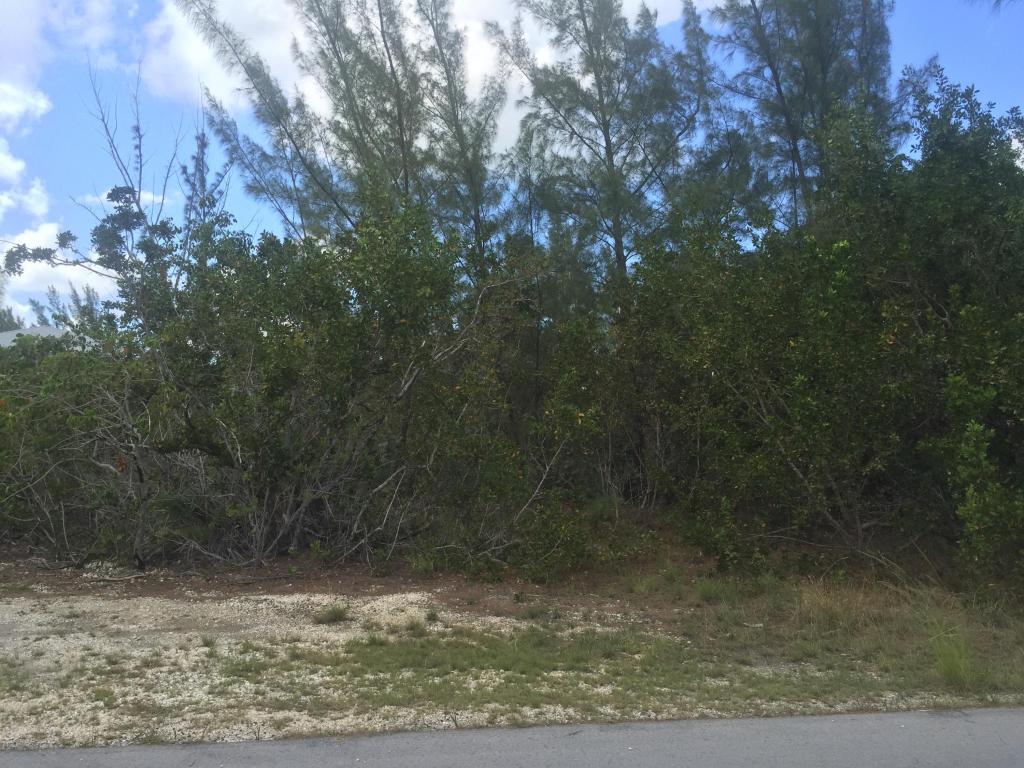 Mariposa Road, Ramrod Key, FL 33042