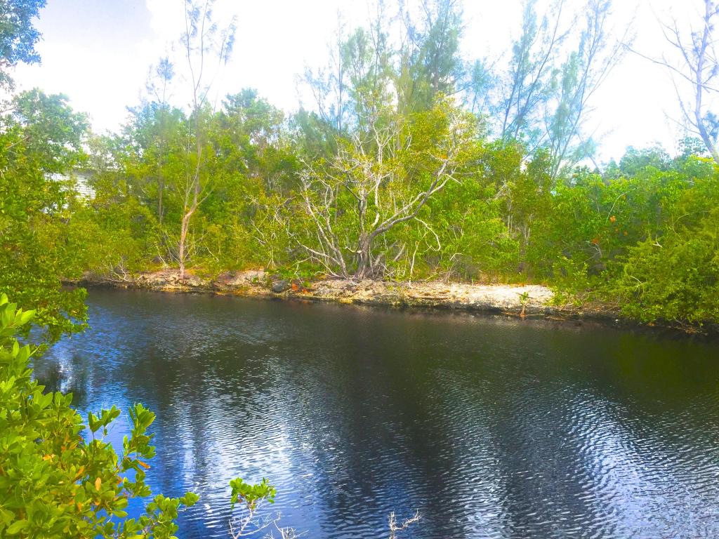 Mariposa Road, Ramrod Key, FL 33042
