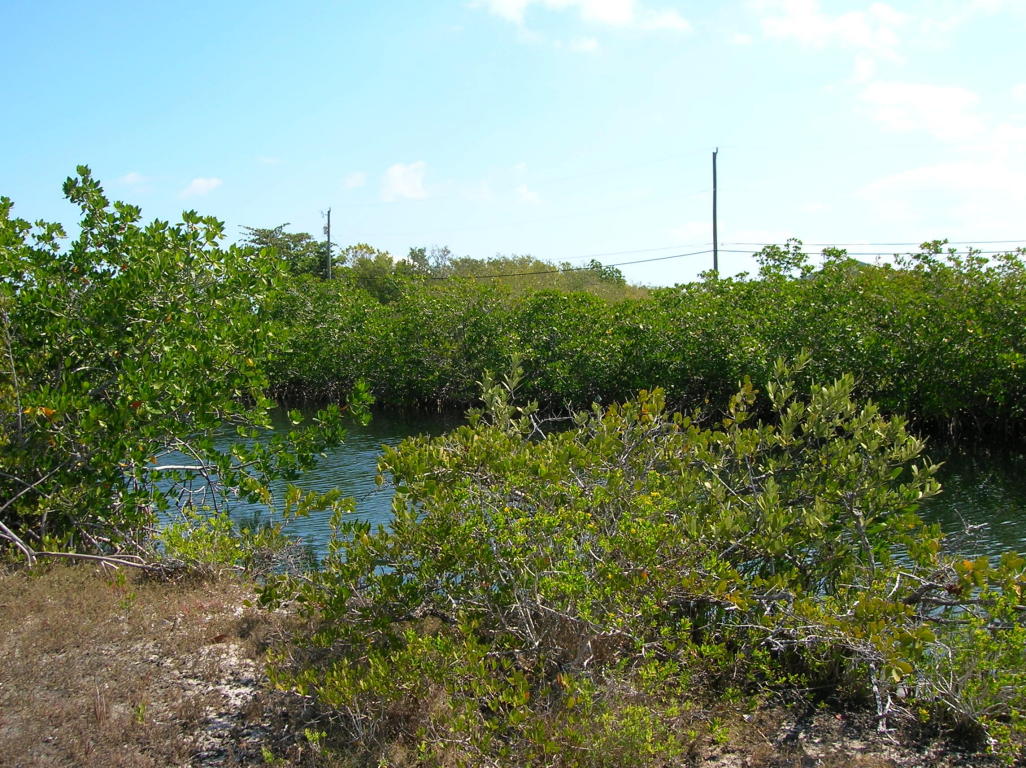 Lot 7 Grenada Lane, Little Torch Key, FL 33042