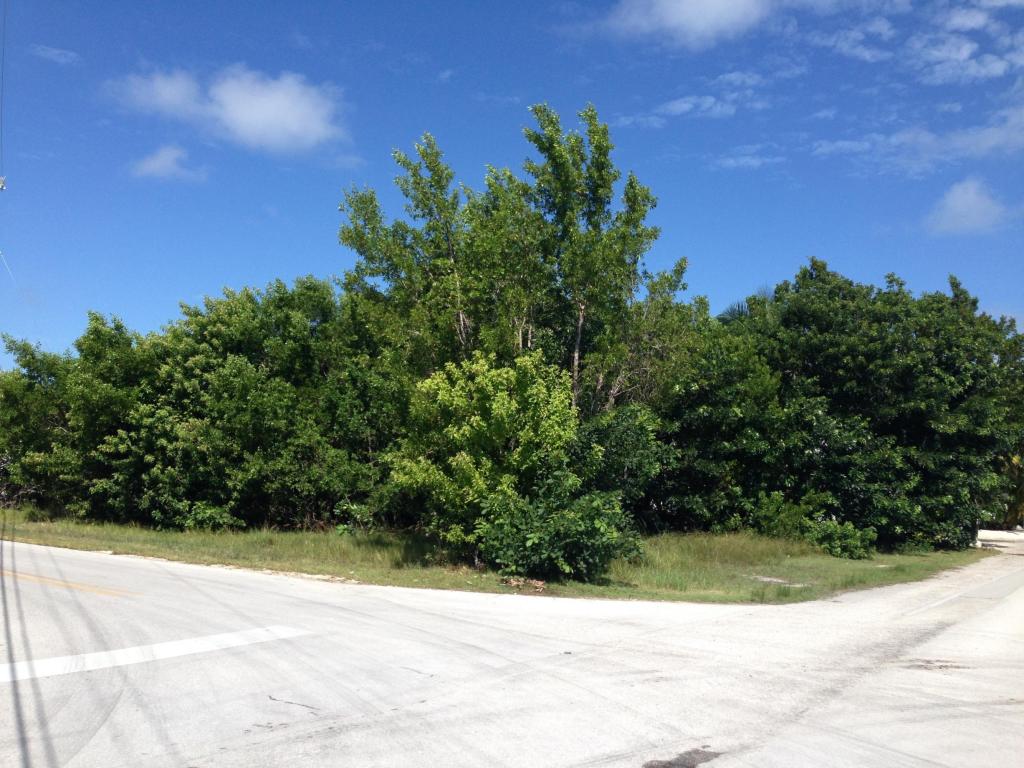 Lot 22 Matthews Road, Big Pine Key, FL 33043