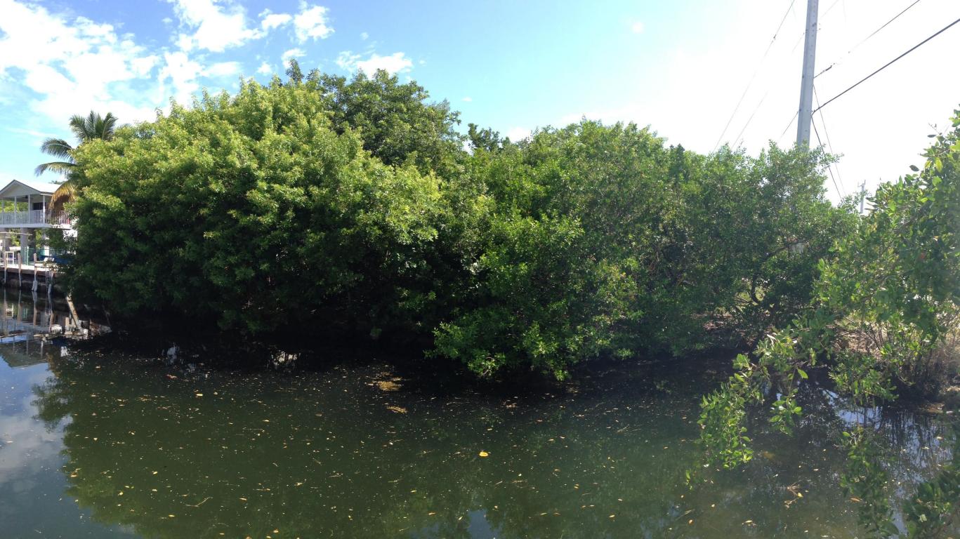Lot 22 Matthews Road, Big Pine Key, FL 33043