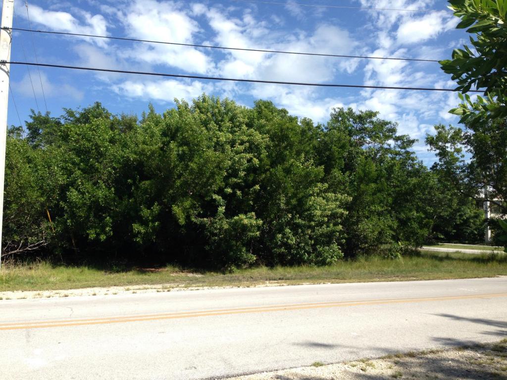 Lot 22 Matthews Road, Big Pine Key, FL 33043
