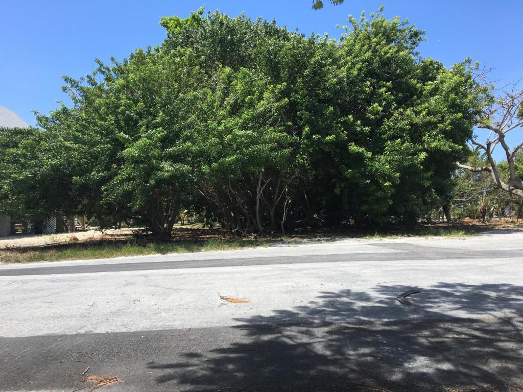 Vacant San Marco, Big Pine Key, FL 33043