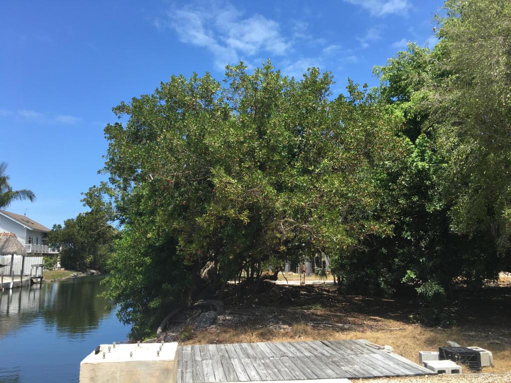 Vacant San Marco, Big Pine Key, FL 33043