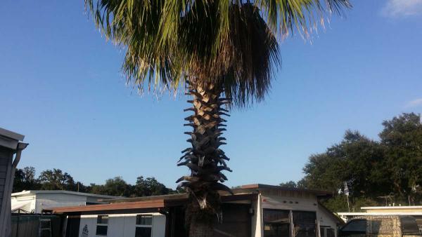 2654 chancey rd ,FL, Zephyrhills, 33051