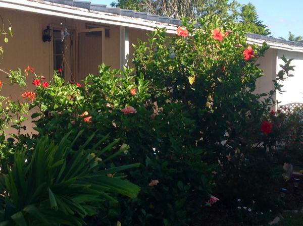 Coral Cay Plantation6706 NW 28Th. Ct. Lot 801Margate, FL 33063