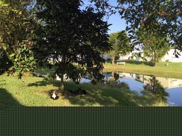 Coral Cay Plantation6713 NW 29th StMargate, FL 33063