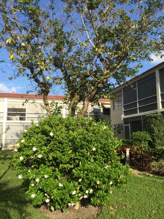 2162 NE 36th Street, Lighthouse Point, FL 33064