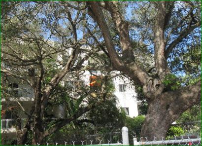 652 NE 63 St 206Miami, FL, 33138Miami-Dade County