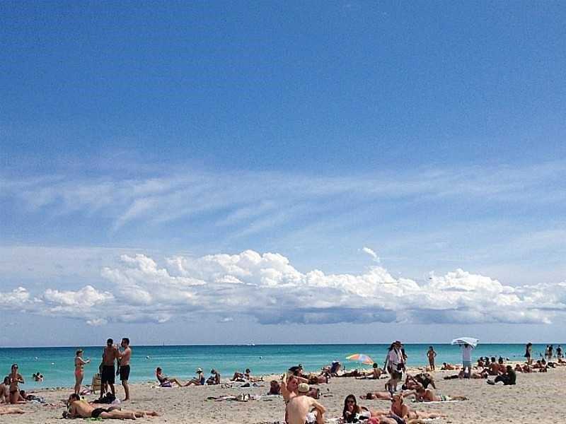 100Lincoln Rd, Miami Beach, FL 33139