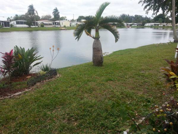 Park City West10550 West State Road 84Davie, FL 33324