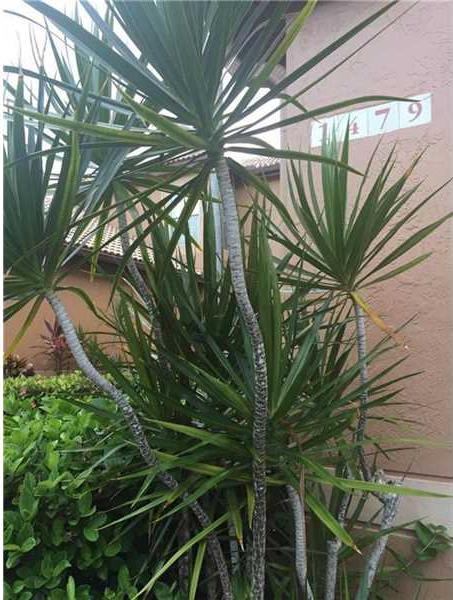 1479 Veracruz Ln # 1-14, Weston, FL 33327