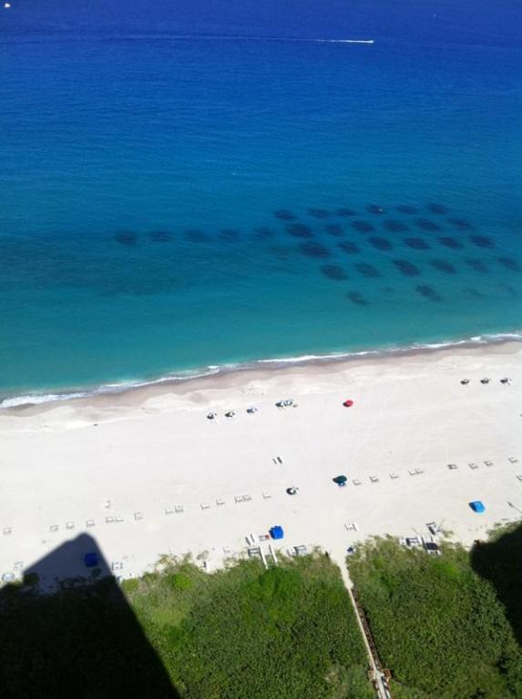 3000 N Ocean Drive, Riviera Beach, FL 33404