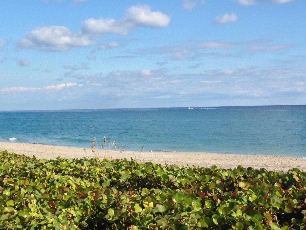 450 S Ocean Drive, Juno Beach, FL 33408