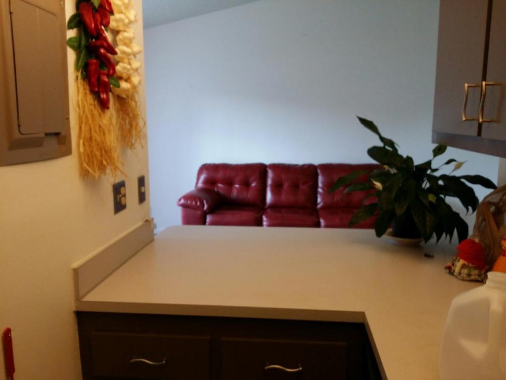 1890 WINDSOR Drive, North Palm Beach, FL 33408
