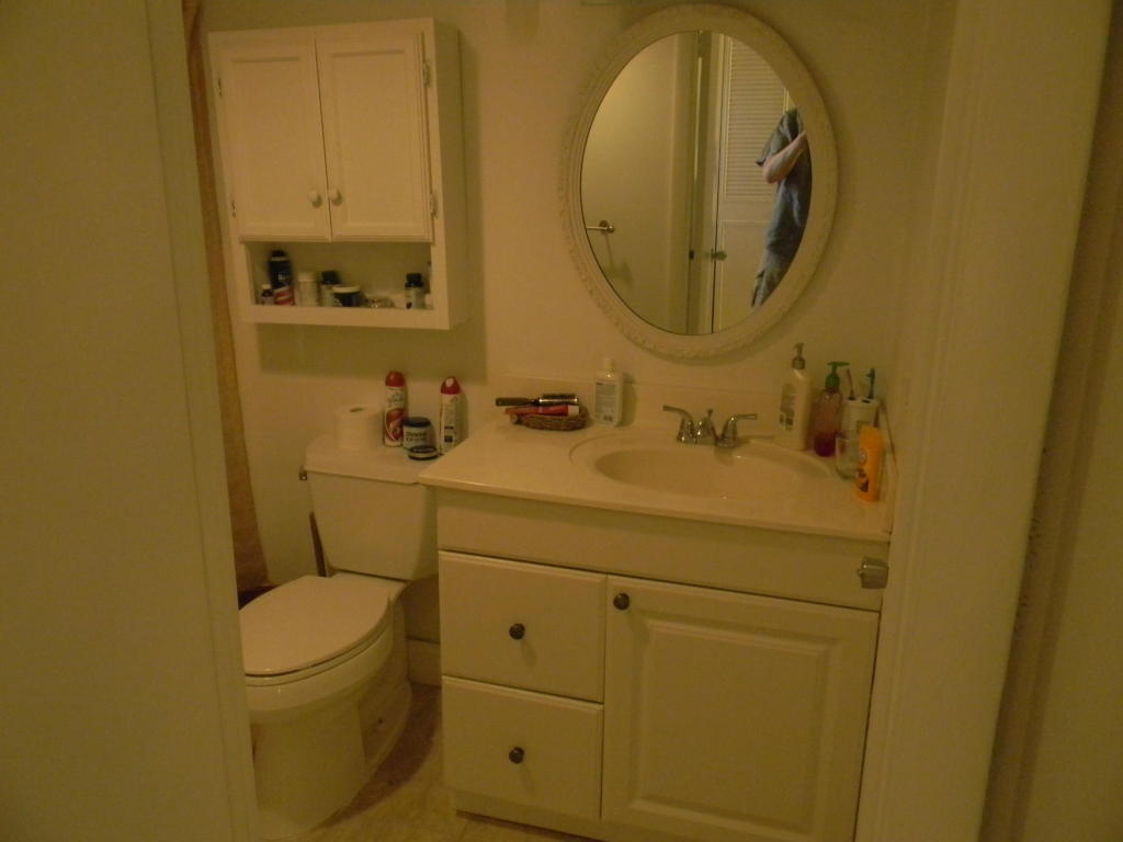 132 Lake Evelyn Drive, West Palm Beach, FL 33411