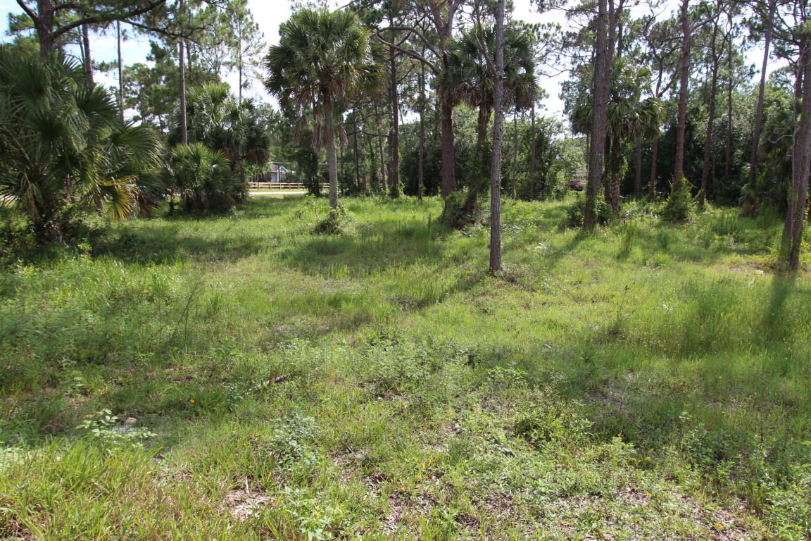0 Citrus Grove Boulevard, West Palm Beach, FL 33412