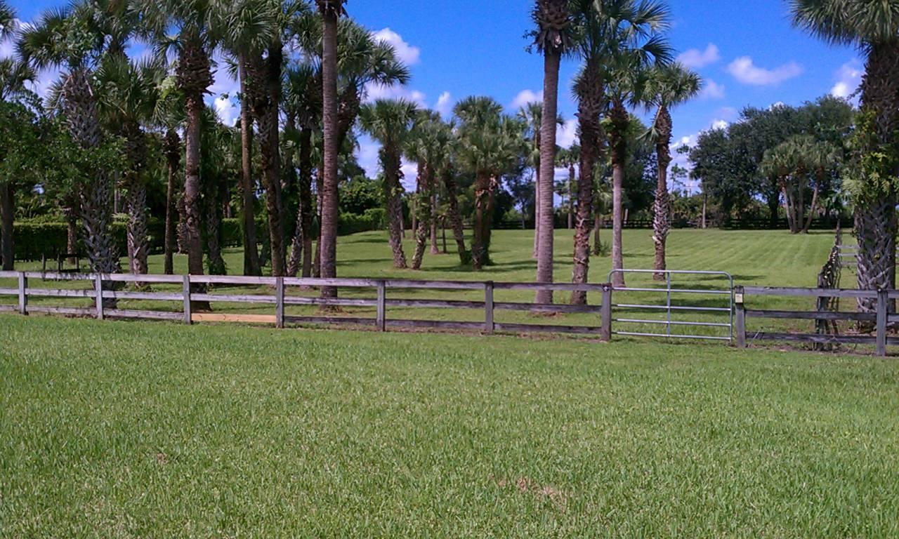 11333 Acme Road, Wellington, FL 33414