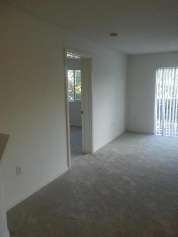 4155 Haverhill Road, West Palm Beach, FL 33417