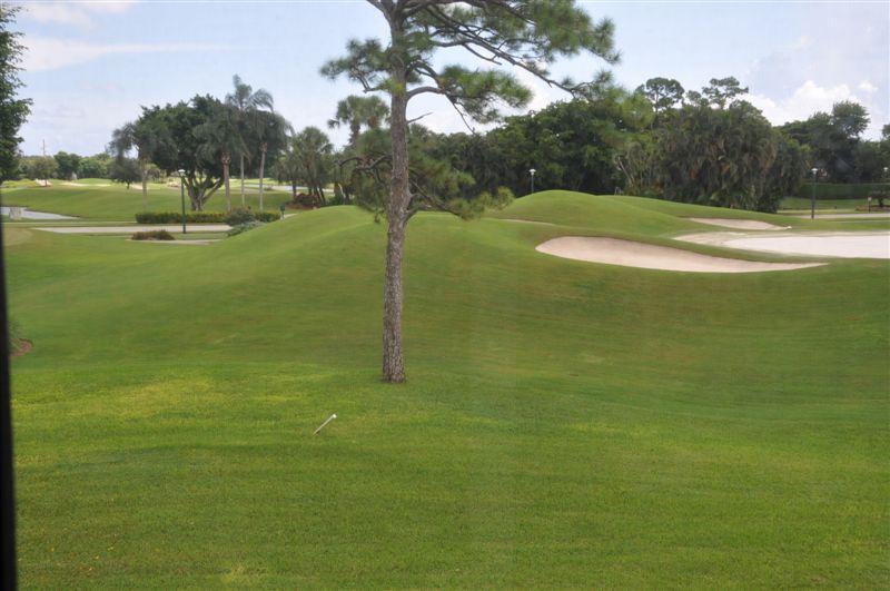 7021 Rain Forest Drive, Boca Raton, FL 33434