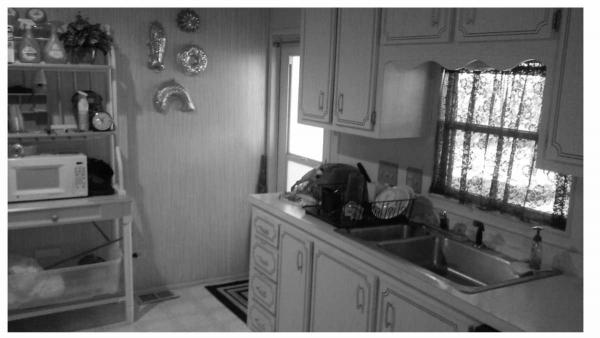Royal Manor Estates4356 king theadore drBoynton Beach, FL 33436