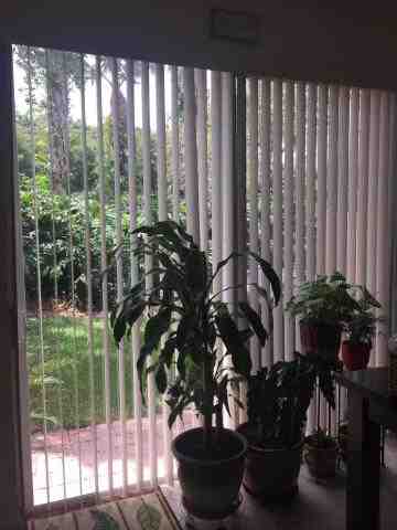7253 Briella Drive Unit 79, Boynton Beach, FL 33437
