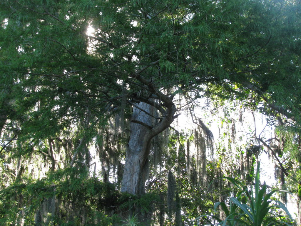 13848 Us Highway 441 N, Canal Point, FL 33438