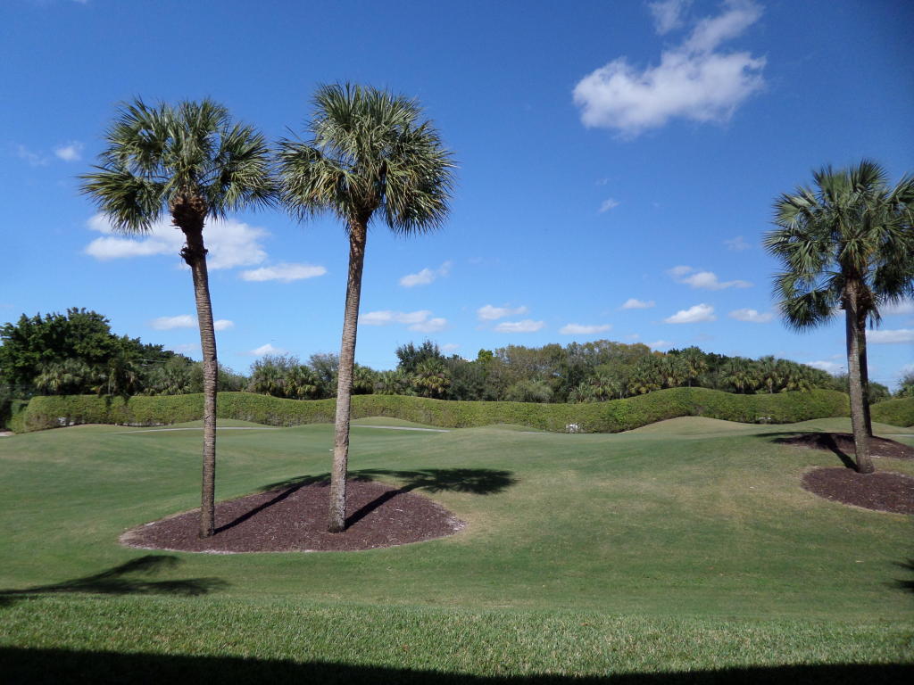 10303 N Andover Coach Lane, Wellington, FL 33449