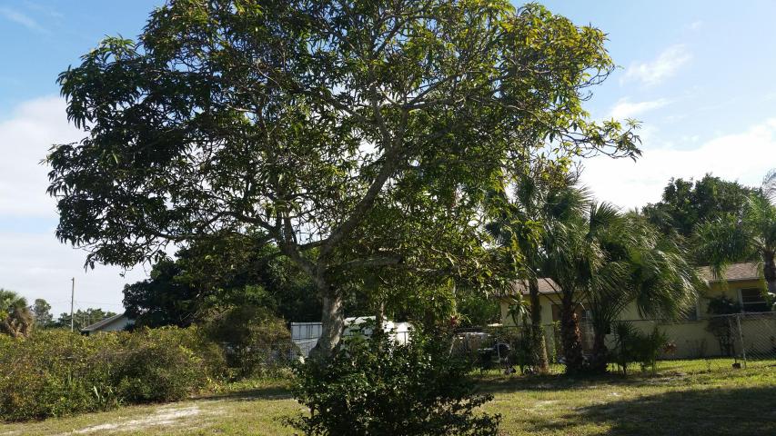 10171 SE Williams Drive, Hobe Sound, FL 33455