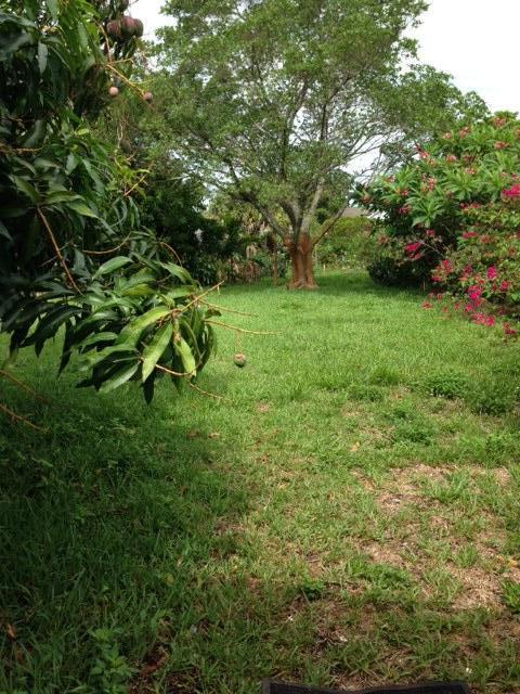 502 S Federal Highway, Lake Worth, FL 33460