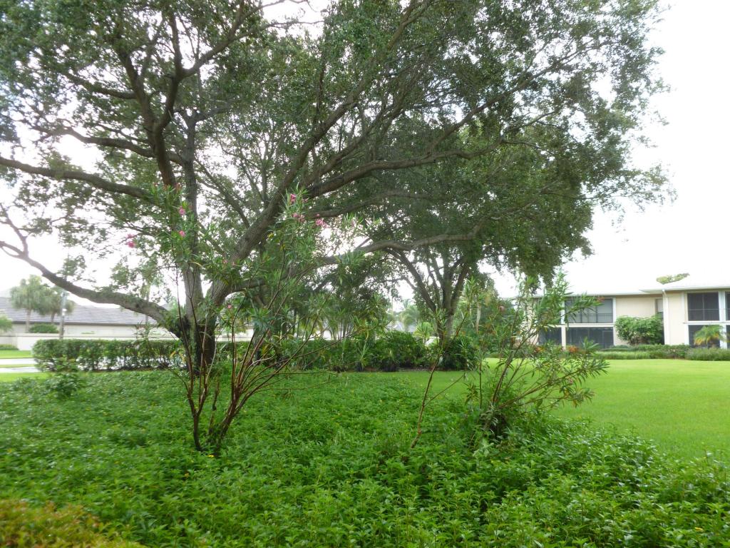 6 Concourse Drive, Tequesta, FL 33469