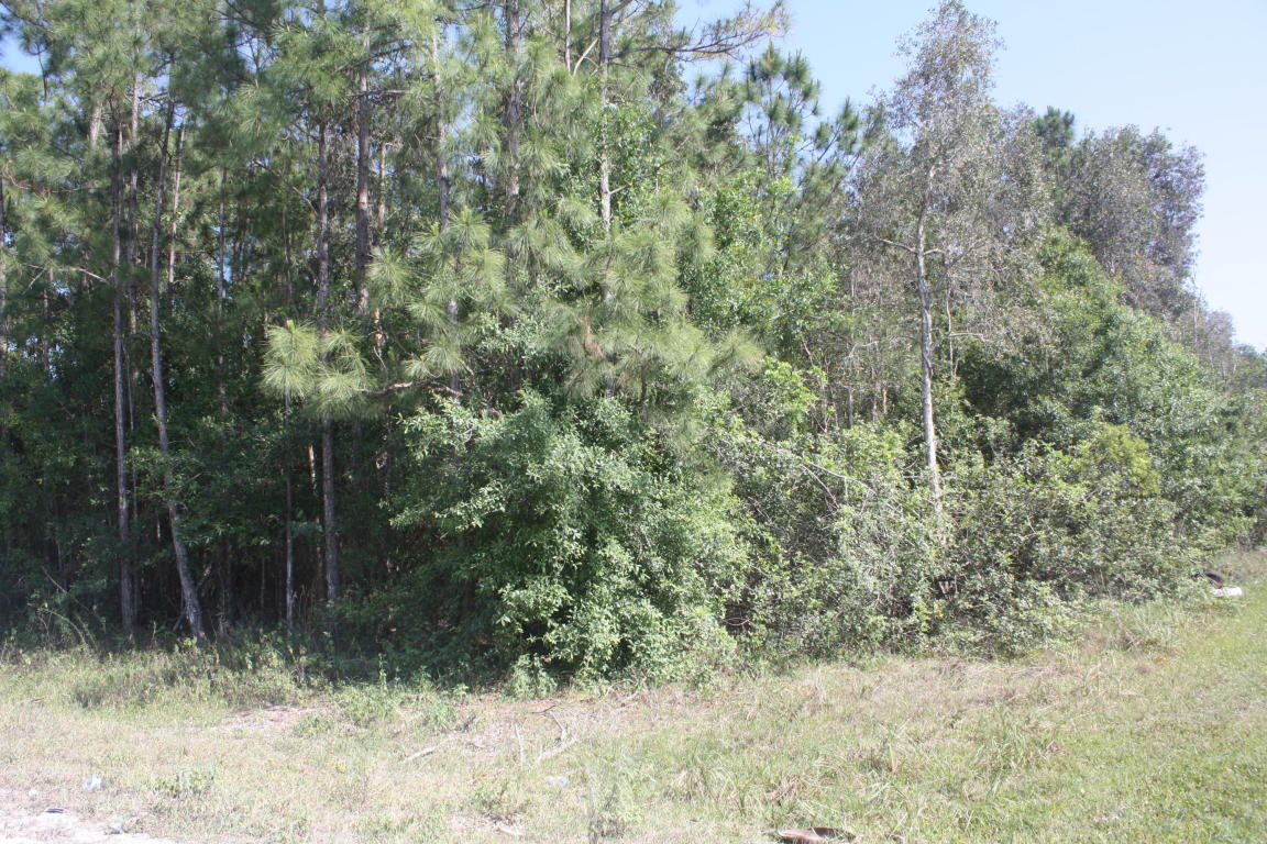 Xxxx 64th Place N, Loxahatchee, FL 33470