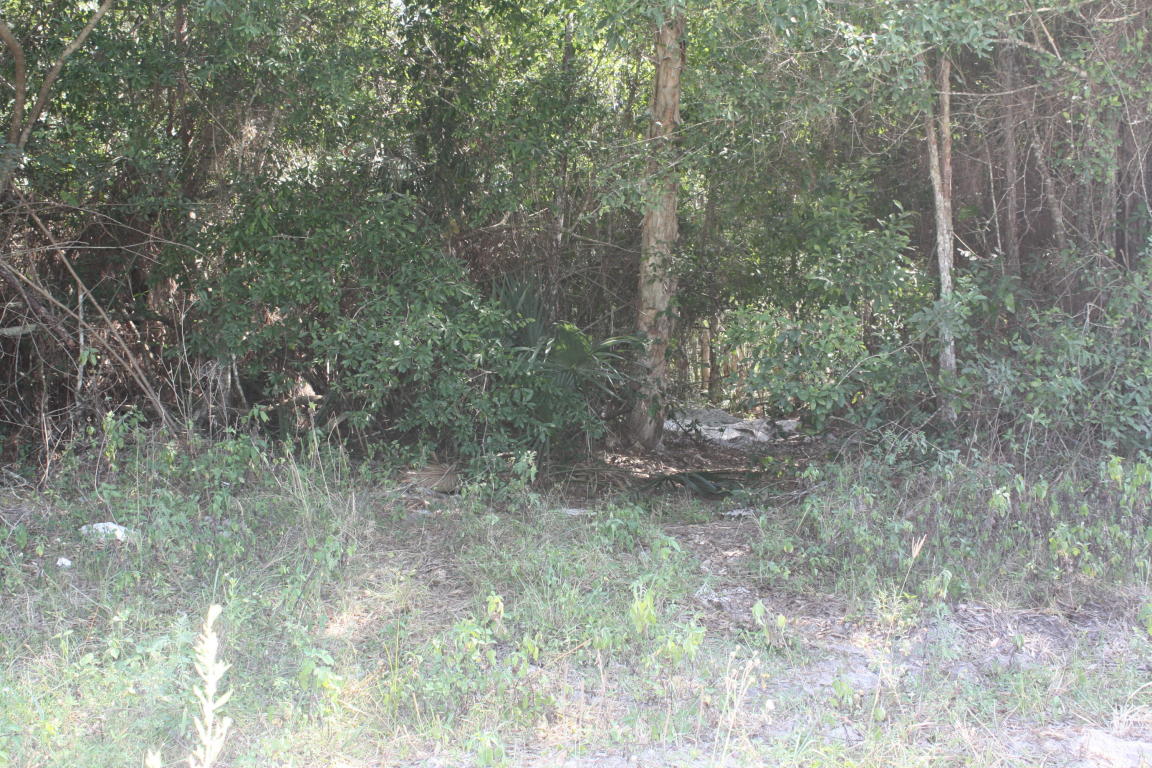 Xxxx 64th Place N, Loxahatchee, FL 33470